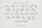 Poem Avenue Elegant Romantic Script, a Script Font by AnMark (Thumbnail 8 of 12)
