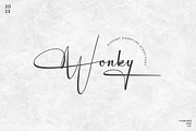 Magellin - Elegant Signature Script, a Script Font by Flawless And Co (Thumbnail 3 of 10)