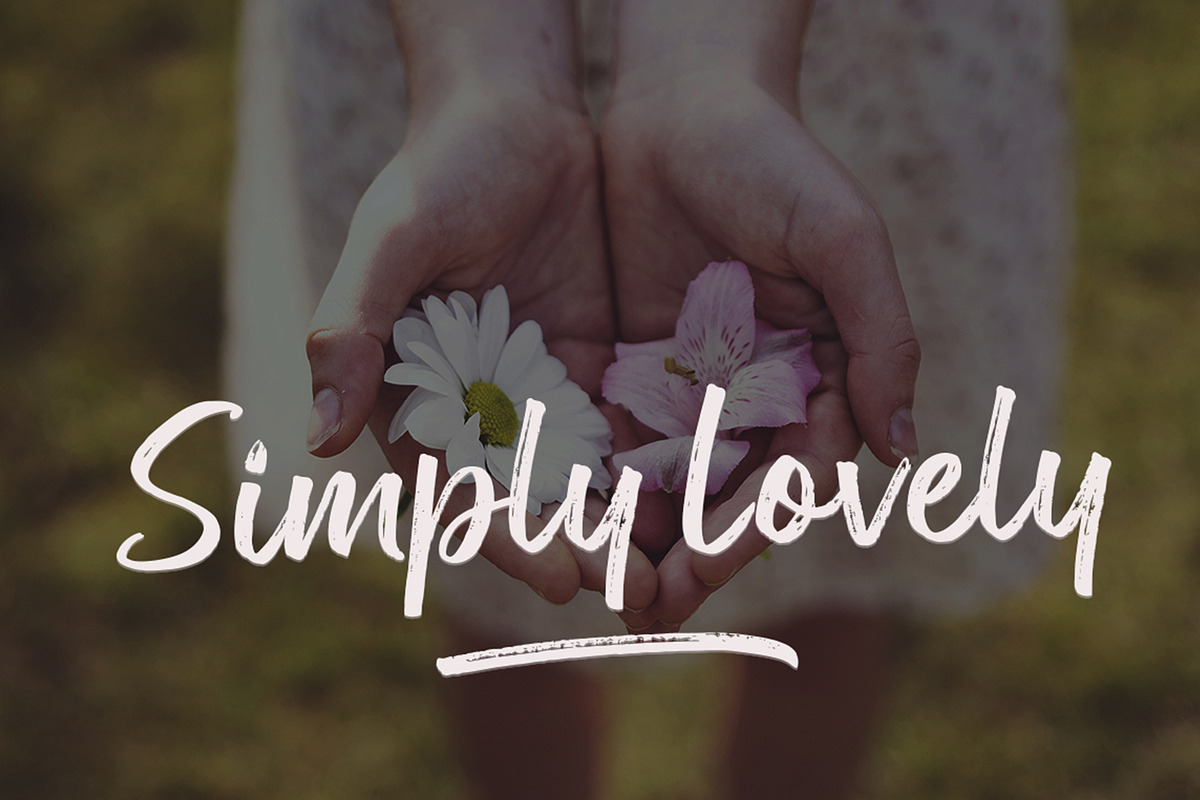 Rose Spe, a Script Font by Stripes Studio (Photo 5 of 9)