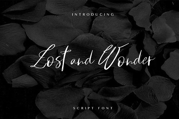 Lost and Wonder Script preview 5