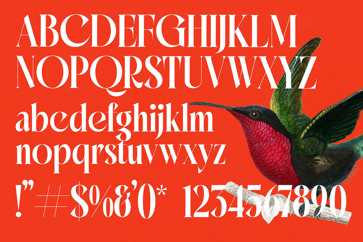 Mactge Modern Serif Display Font, a Serif Font by timelesstype.co (Photo 18 of 20)