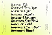 Rosemeri — MODERN EDITORIAL SERIF, a Serif Font by InkwellTypeCo (Thumbnail 7 of 19)
