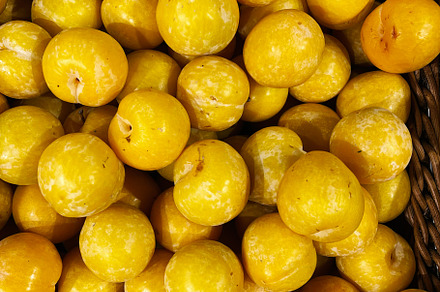 Pile of ripe yellow plums showing their fresh and organic texture, a Photo by AS photostudio
