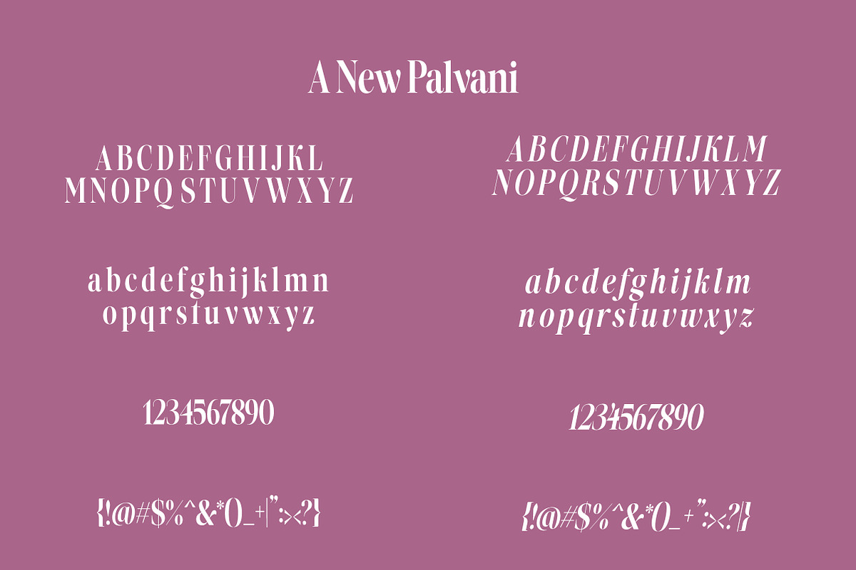 Palvani | Modern Elegant Serif Typef, a Serif Font by Artdez (Photo 5 of 5)