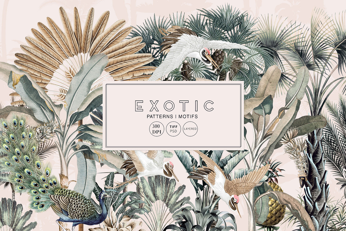 Exotic, Elegant Tropical Prints, a Pattern Graphic by Pink Linen (Photo 2 of 12)