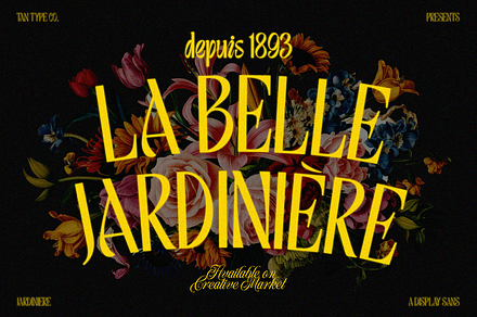 TAN - JARDINIERE, a Sans Serif Font by TanType