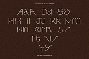 VIGNELO Typeface, a Serif Font by Few & Fahr Studio (Thumbnail 8 of 9)