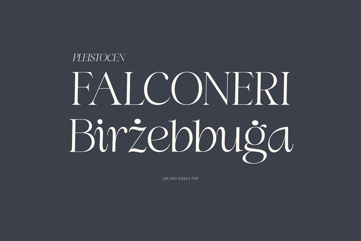 Swily Bright | Classy Font, a Serif Font by Jolicia Type (Photo 4 of 11)