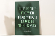 Michela Azorha Display Serif, a Serif Font by timelesstype.co (Thumbnail 2 of 20)