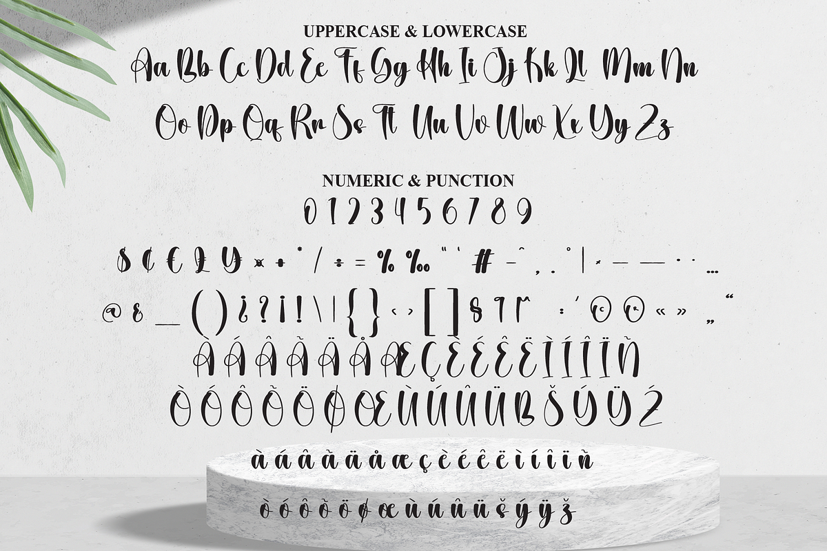 Getback | Script Font, a Handwritten Font by Scratchones (Photo 7 of 9)