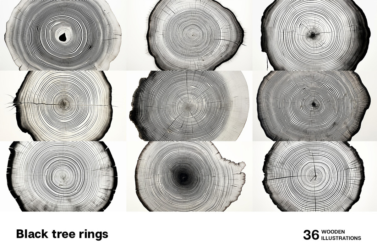 Black tree rings collection, a Decorative Illustration by Handmadefont (Photo 4 of 10)