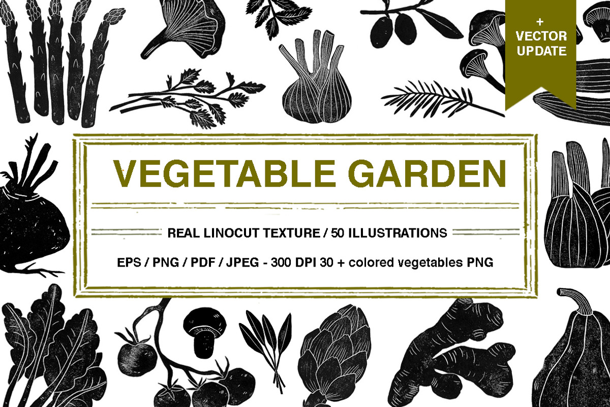 Vegetable garden, an Object Graphic by Mii Lab (Photo 1 of 10)