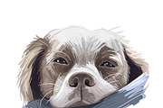 Puppies Dog Breeds Big Bundle 135Pcs, an Animal Illustration by Dneprstock (Thumbnail 17 of 68)