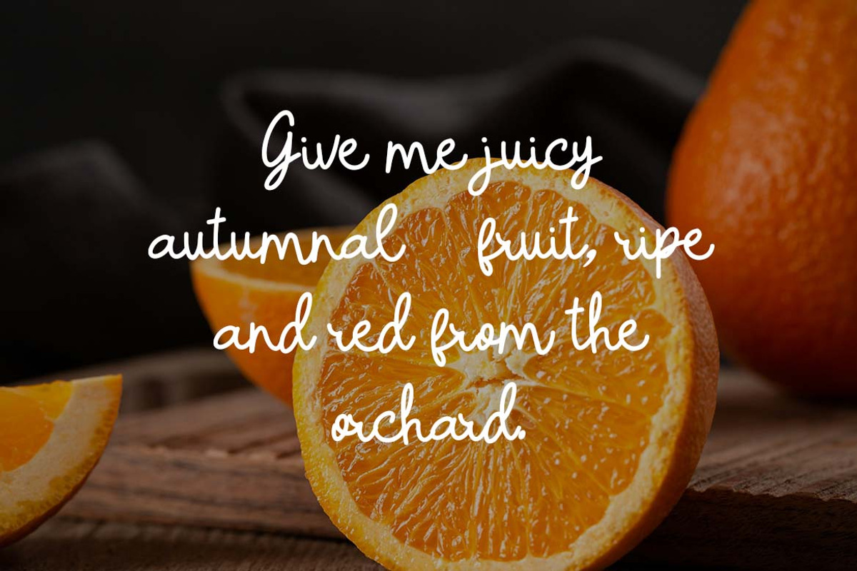 Vintage Paradise Retro Script Font, a Handwritten Font by UICreative (Photo 7 of 13)