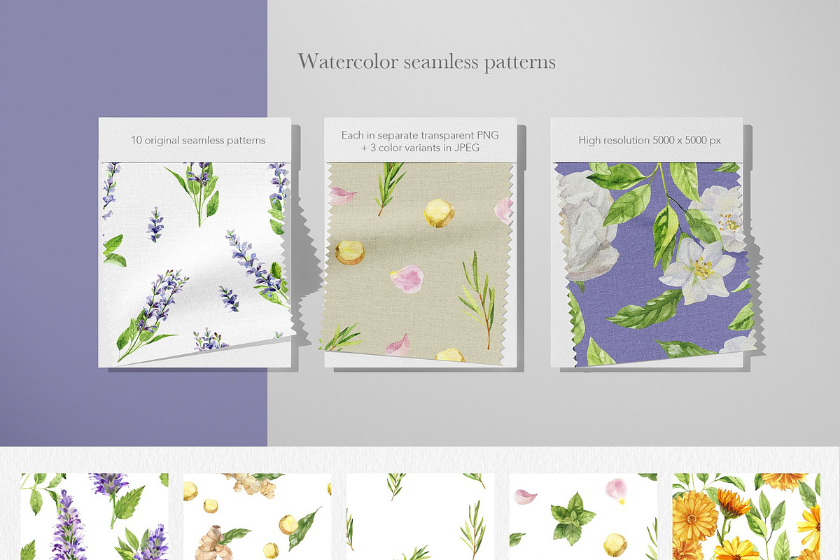 Essential Oils Botanical watercolor, a Healthcare Illustration by Volha Studio (Photo 9 of 11)