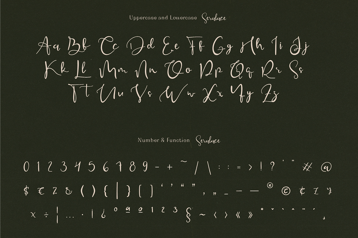 Seralace - Elegant Handwritten, a Handwritten Font by Indotype Foundry (Photo 2 of 10)