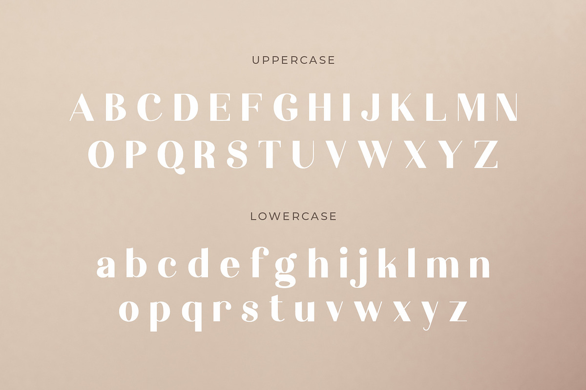 Elouise - Elegant Serif Font preview 2