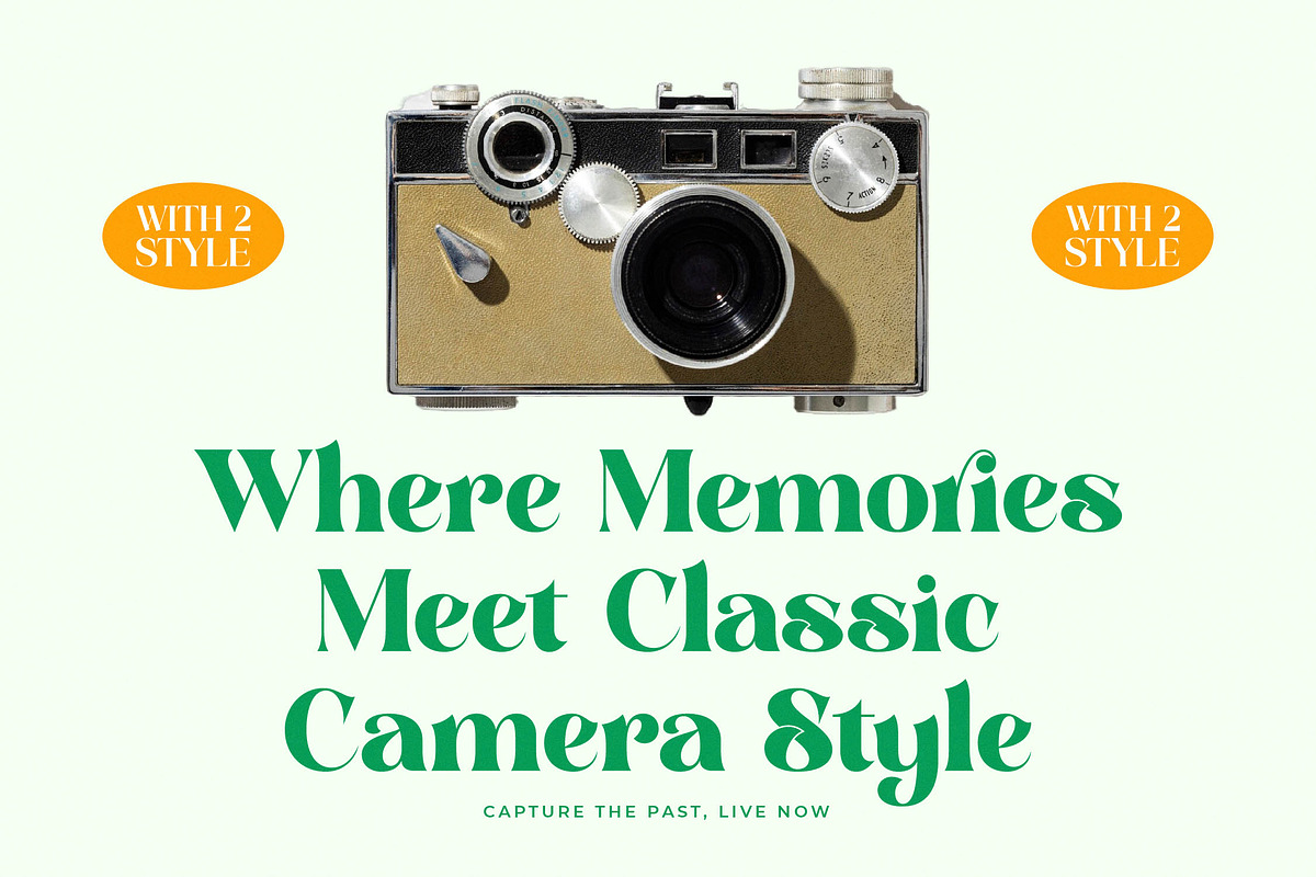 Master Gedon Modern Bold Serif, a Serif Font by timelesstype.co (Photo 13 of 19)