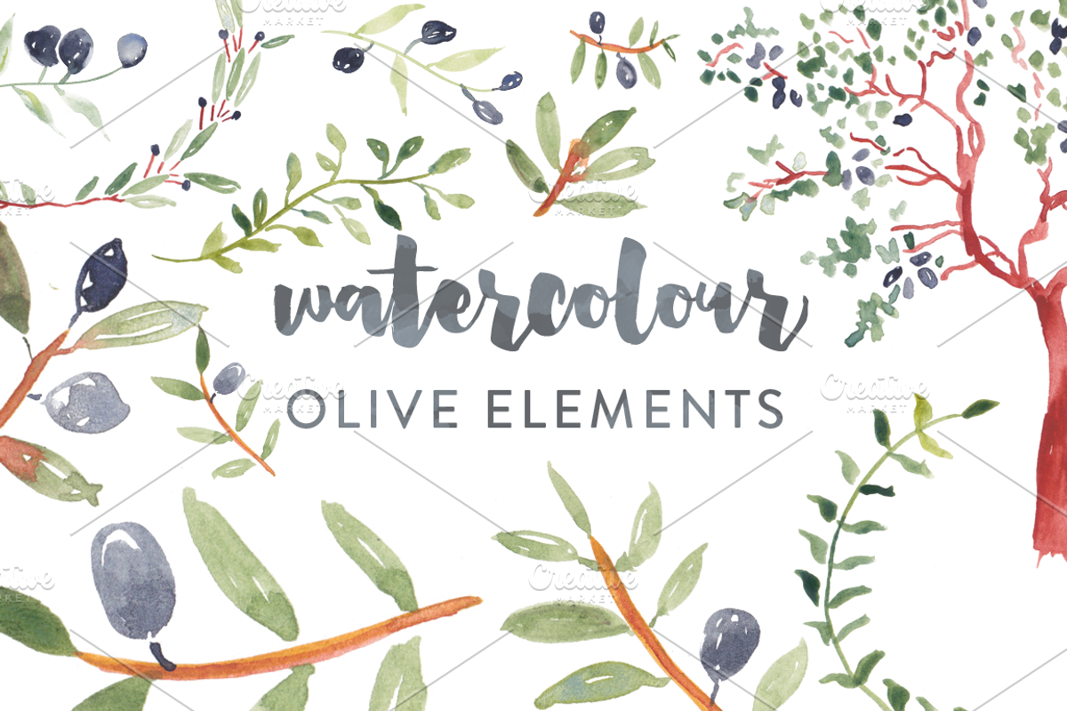 Olive Watercolor Elements, an Illustration by Susan Brand Design (Photo 4 of 4)