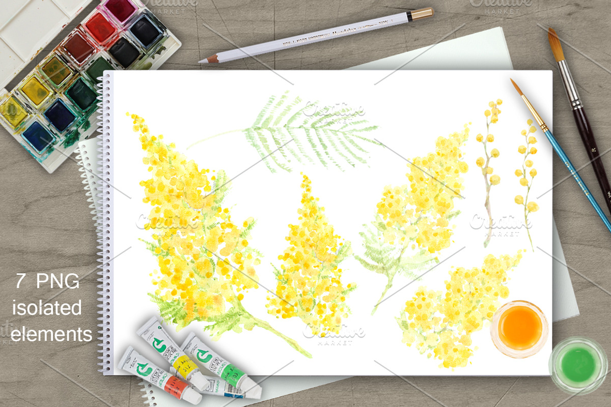 Mimosa. Watercolor collection., a Decorative Illustration by maritime_m (Photo 2 of 6)