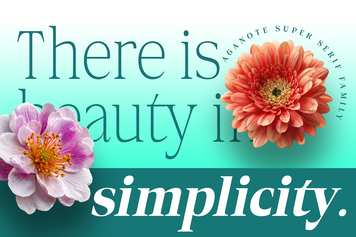Aganote Typeface | 91 Style Font, a Serif Font by Bosstype Studio (Photo 7 of 12)