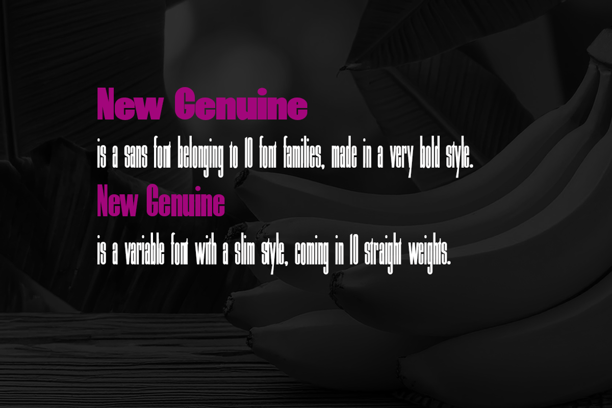 New Genuine, a Sans Serif Font by groens (Photo 5 of 6)