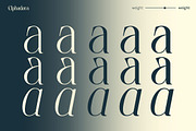 Elphadora Display Family, a Serif Font by Skypia (Thumbnail 7 of 15)