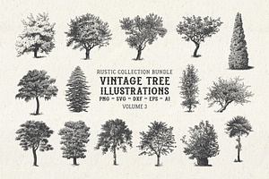 Vintage Tree Vector Bundle Vol. 3