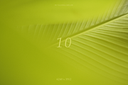 10 NATURAL BACKGROUNDS, a Background Photo by Valeriia Miller (Thumbnail 11 of 11)