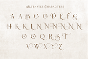 Heaven Of Love | Ligature Serif, a Serif Font by Silverdav (Thumbnail 10 of 12)