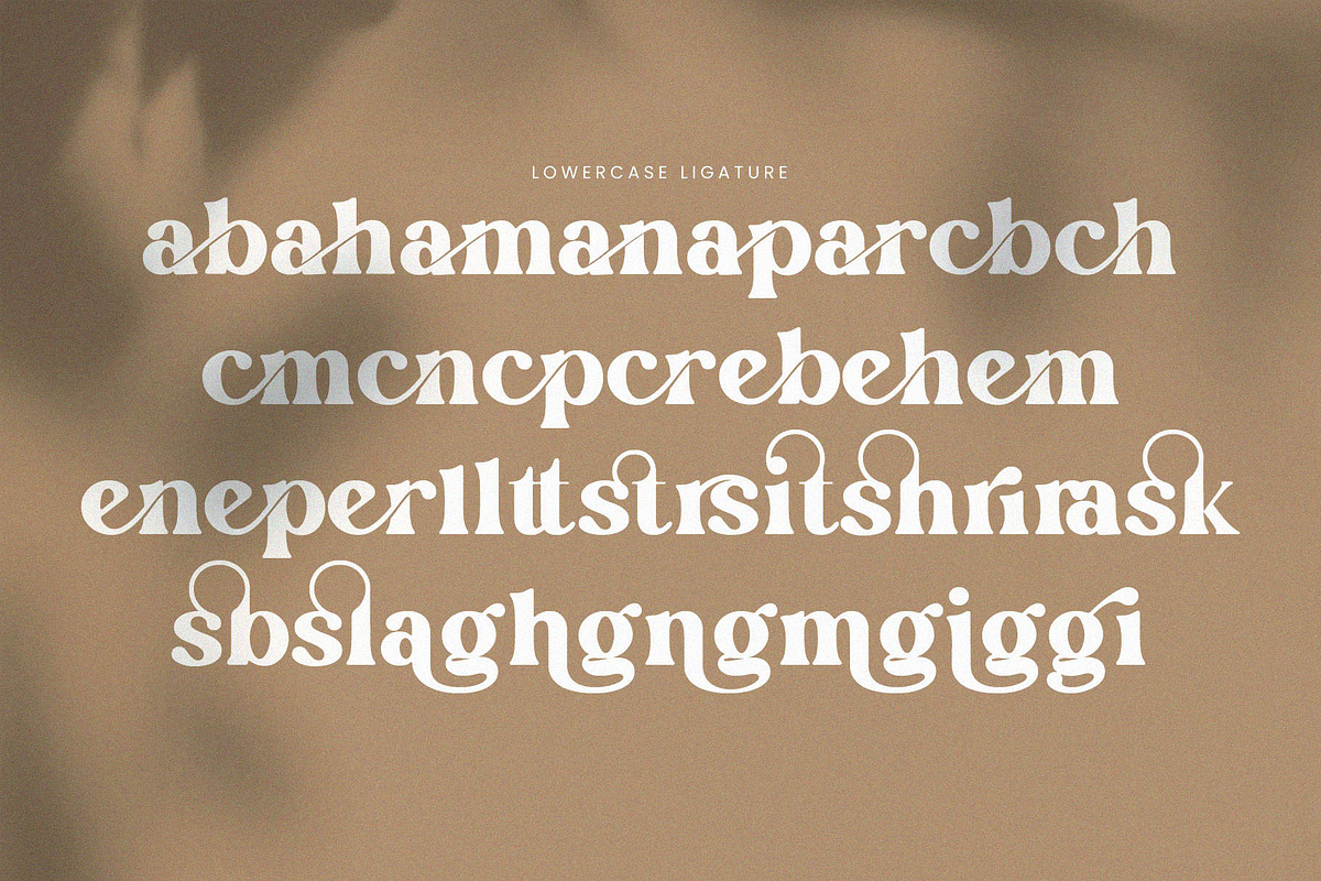 English Island Ligature Serif Font, a Serif Font by Graphicxell (Photo 10 of 11)
