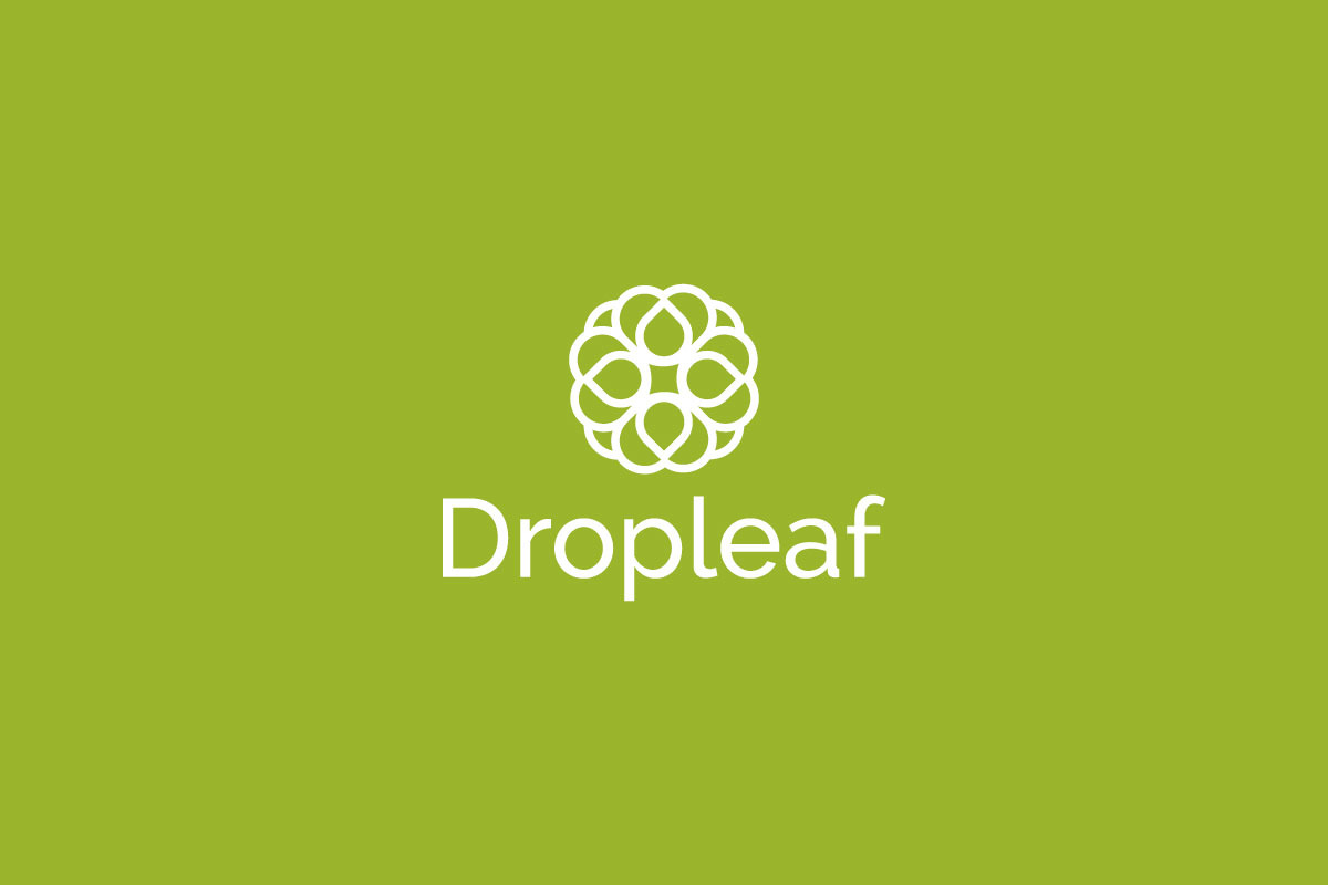 Modern Nature-Inspired Leaf Logo preview 8