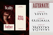 Boserich, a Serif Font by Burntilldead (Thumbnail 10 of 12)