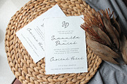 Flawlush - Elegant Script, a Script Font by Invasi Studio (Thumbnail 10 of 12)
