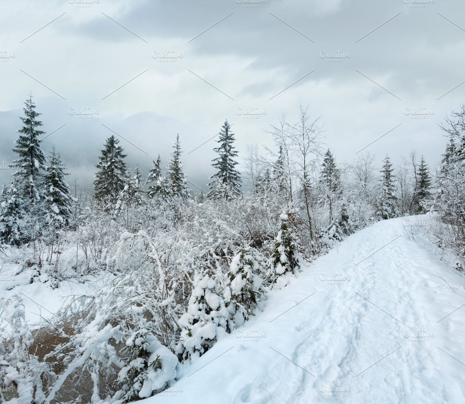 Small winter stream with snowy trees., a Nature Photo by YuriyB