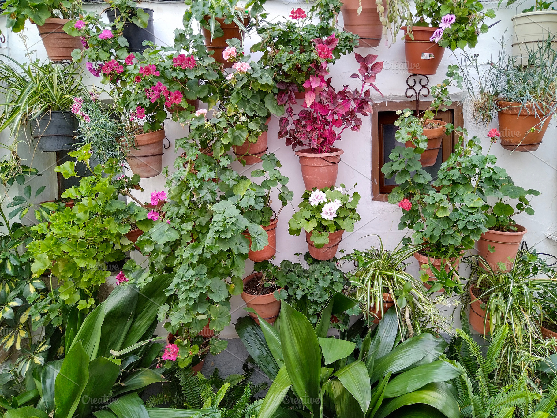 Vertical garden with terracotta pots and flowers, a Nature Photo by DanFLCreativo