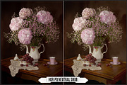 Canon HDR PQ Picture Styles, a Plug-in Add-On by Raztrend (Thumbnail 12 of 30)