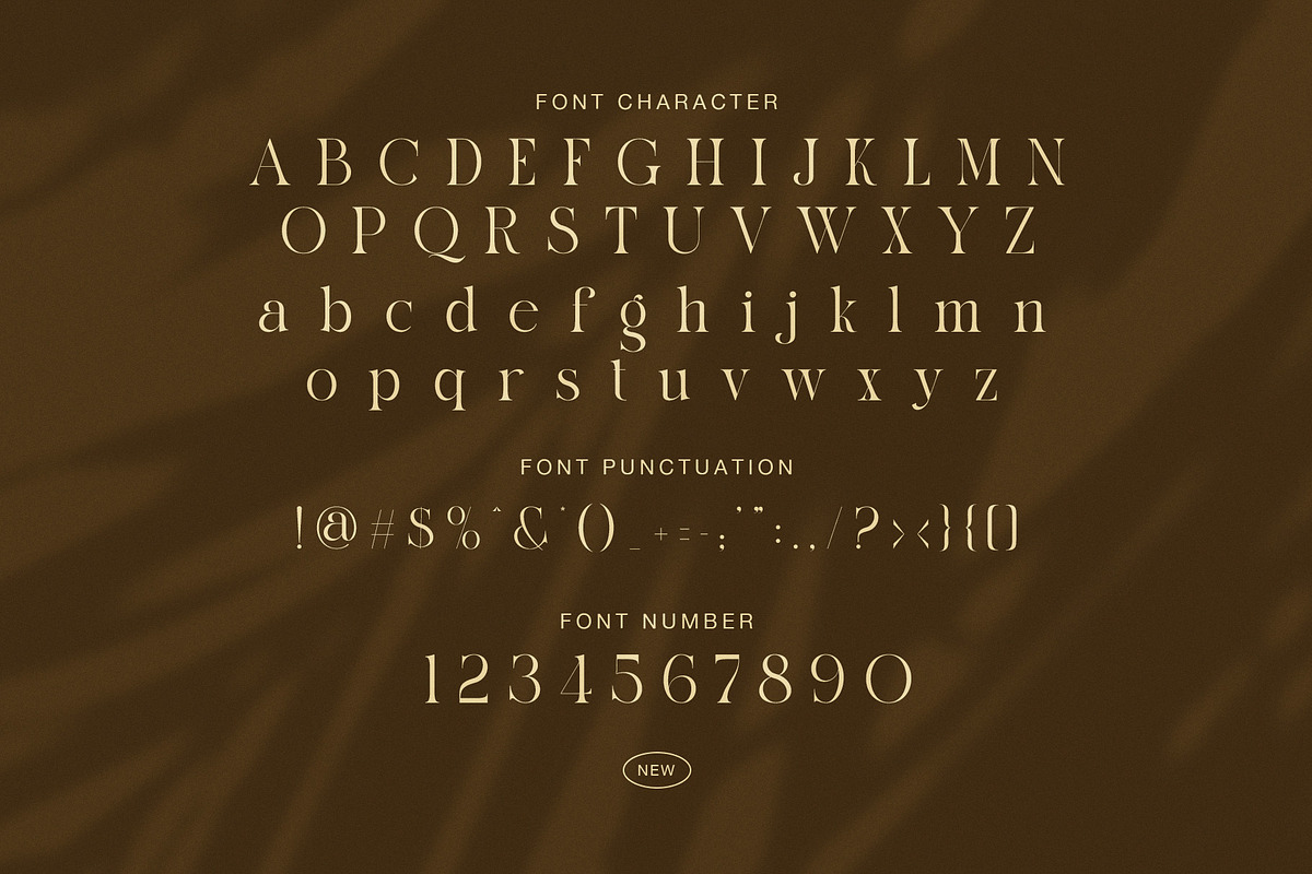 Billang – Elegant Serif Font, a Serif Font by Graphicxell (Photo 7 of 8)