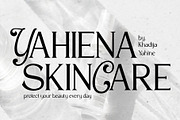 VT Salemore Longest Font Combination, a Serif Font by ViactionType (Thumbnail 3 of 13)