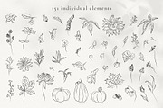 Autumn Botanicals Line Art Clipart, a Decorative Illustration by La Petite Line Art (Thumbnail 3 of 14)