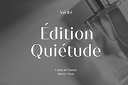 Mondique – Elegant Font Family, a Sans Serif Font by Marc Lohner (Thumbnail 9 of 10)
