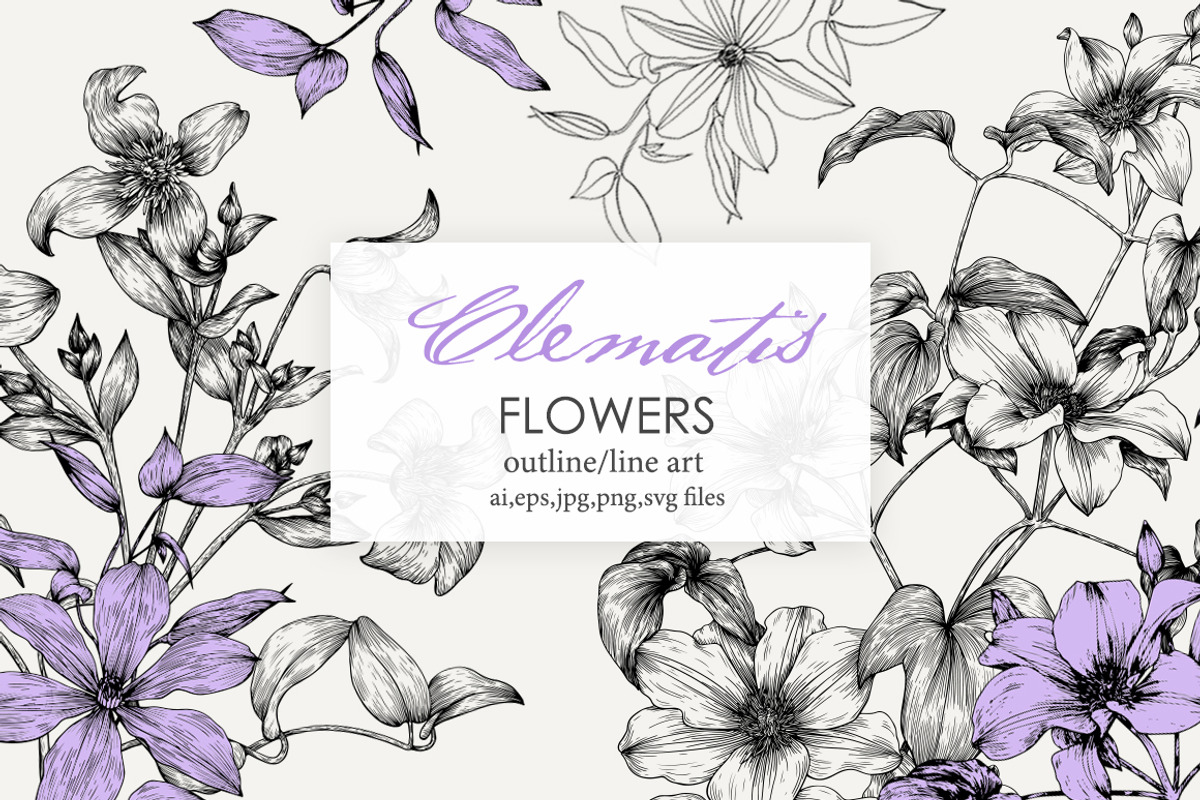 Flowers of Clematis. Botanical Set, a Decorative Illustration by ON_lineart_store (Photo 1 of 10)