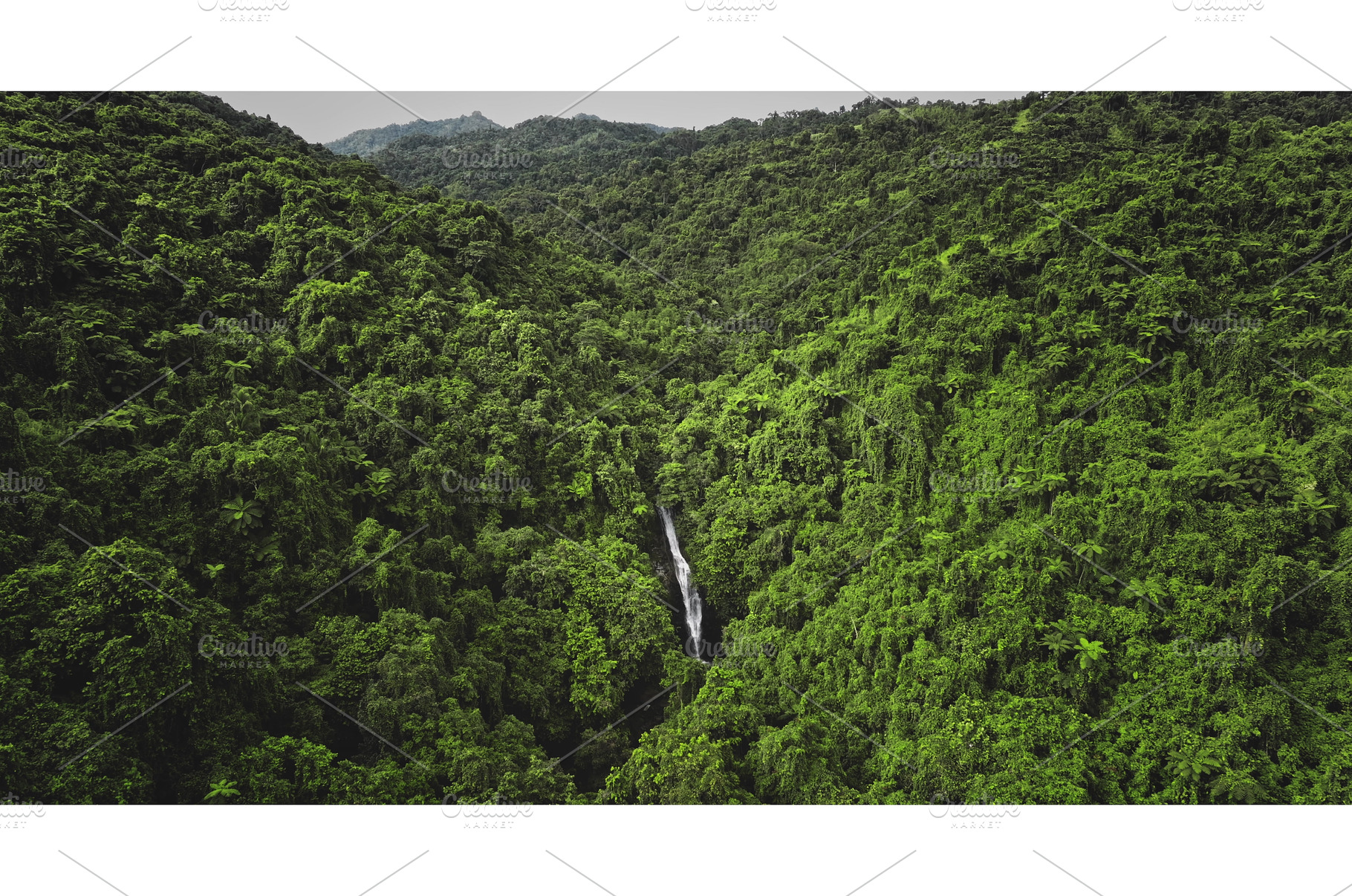 Hidden waterfall flowing through, an Animal Photo by Goinyk