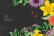Antique flowers illustrations, an Illustration by AS Studio (Thumbnail 8 of 8)