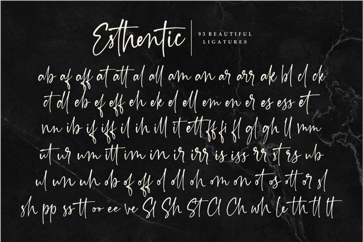 Esthentic a Handwritten Script Font, a Script Font by Vilogsign (Photo 9 of 10)