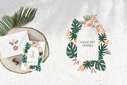 Gentle Tropics graphic kit, a Decorative Illustration by Dinkoobraz (Thumbnail 10 of 17)