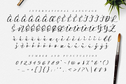 Endita Handwritten Font and Extras, a Script Font by endita (Thumbnail 8 of 12)