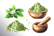 Stevia. Watercolor collection, a Healthcare Illustration by Daria Ustiugova (Thumbnail 5 of 6)