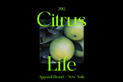 Bungalow - Elegant Serif, a Serif Font by subkulturetype (Thumbnail 5 of 8)