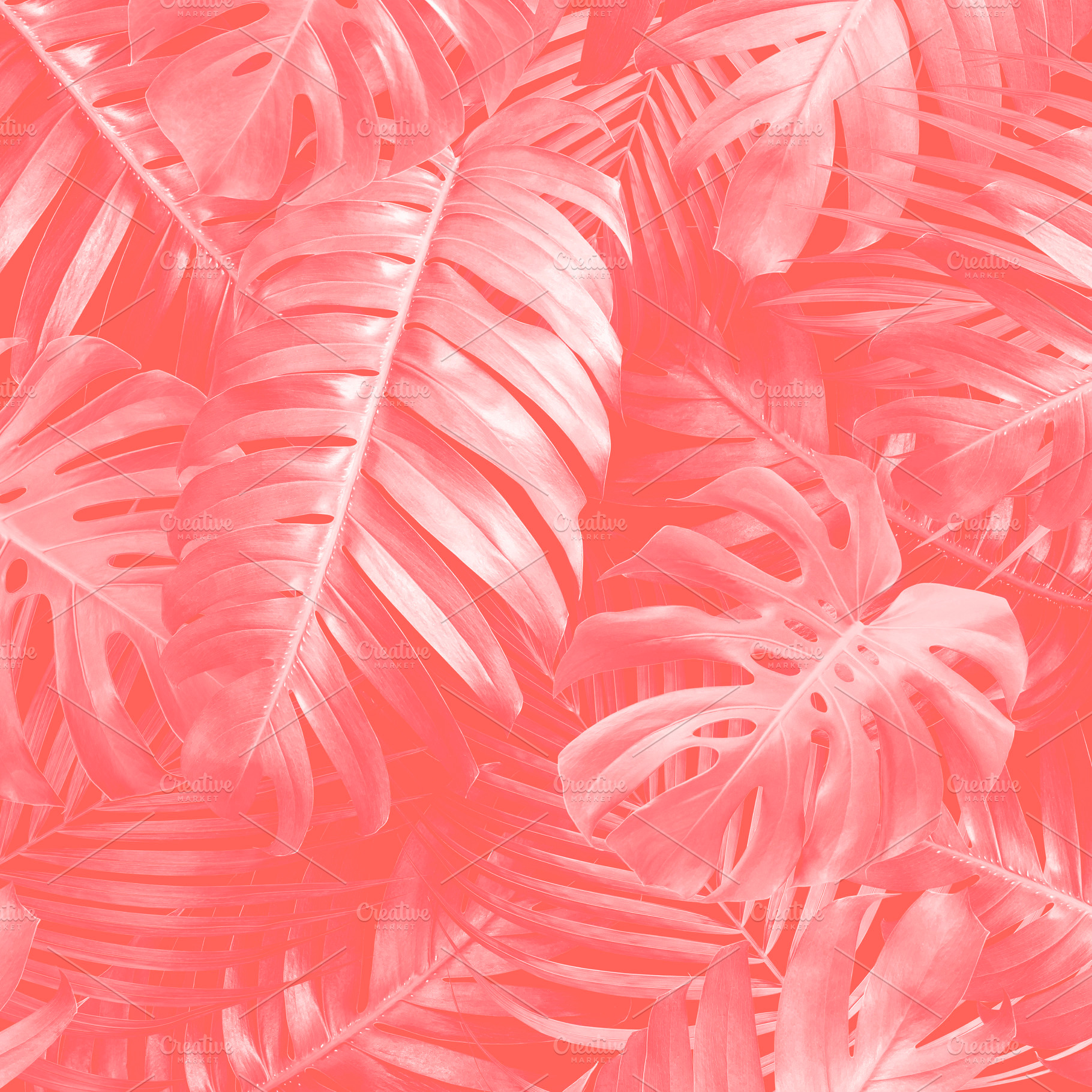 Tropical leaves background containing fashion, botanical, and 2019, a Nature Photo by ArtBackground